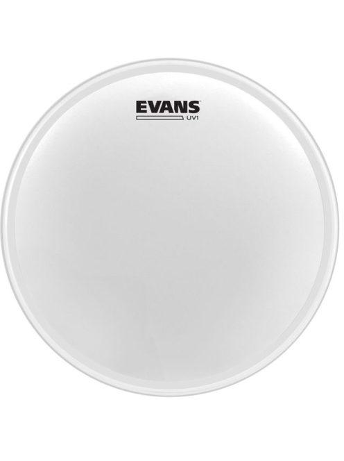 Evans UV1 coated dobbőr 8"  B08UV1 