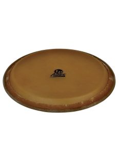 LP  12" Aspire Tumba Head  LPA640C LP880152