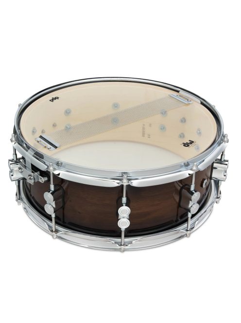 PDP by DW  EXOTIC Concept Maple  14"x 5,5" pergődob PDCMX5514SSWC