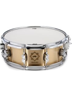   PDP by DW  Concept Select Bronze 14" x 5" pergődob PDSN0514CSBB PD805009