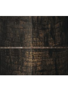 TAMA STAR Maple Snare Drum 14" x 5,5" TMS1455S-CBP