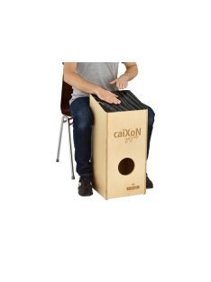 MEINL VivaRhythm caiXoN  VR-CAIX